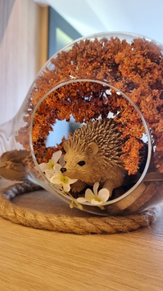 Imagem JPG, Indisponível